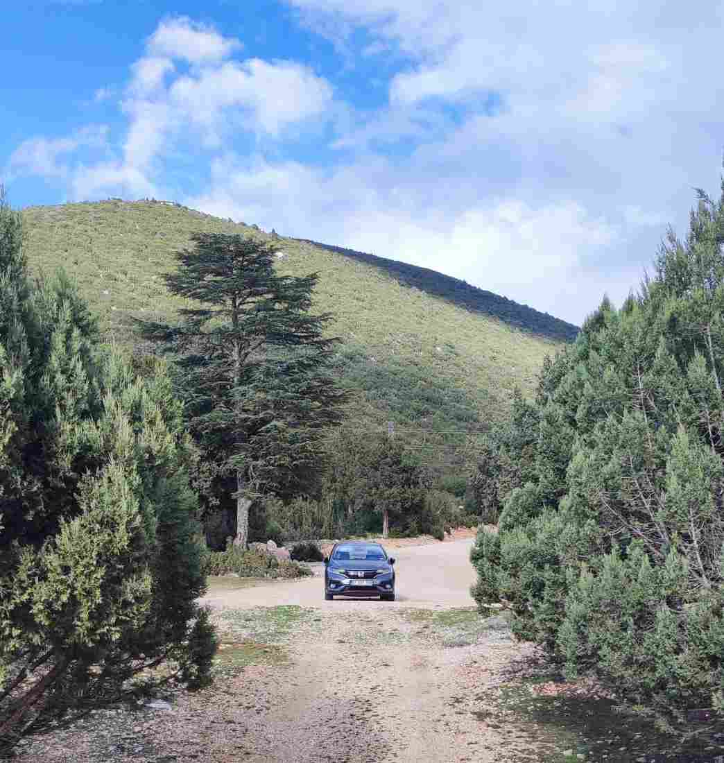 Honda Jazz | Yabancıdan Araç Satın Almak!