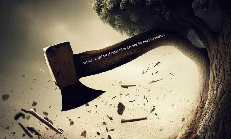 Orman, Ağaçlar, Balta ve Baltanın Sapı...